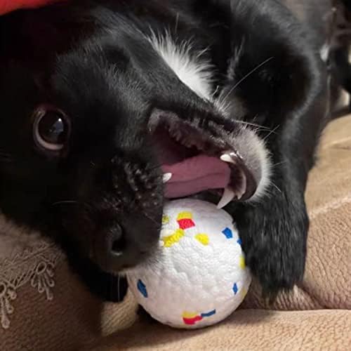 PAWSHOLIC Интерактивен Надуваем Весела топка за кучета, здрав, пълнозърнести материал ETPU, Еластичен Играчка