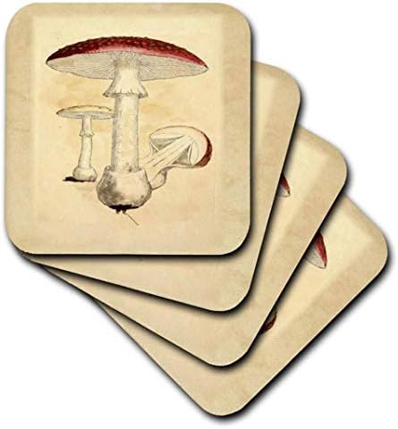 Триизмерно изображение на Червено Винтажного гъбички от Стари книги по ботаника - Влакчета за керамични плочки,