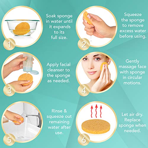 Спрессованные гъба за лице | Гъба за лице от естествена целулоза (50 пакети) | Професионална спа-Почистваща