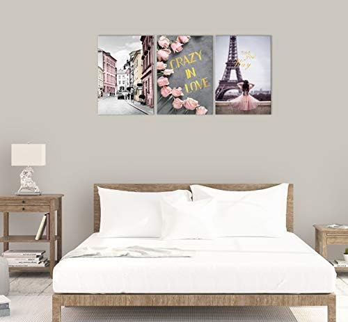 Парижката Градинска Сцена Романтично Стенно Изкуство Айфеловата Кула Маслени Картини, Печат върху Платно Съвременно