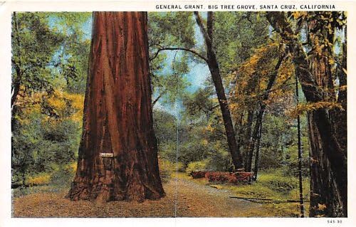 Картичка от Дядо Круса, Калифорния