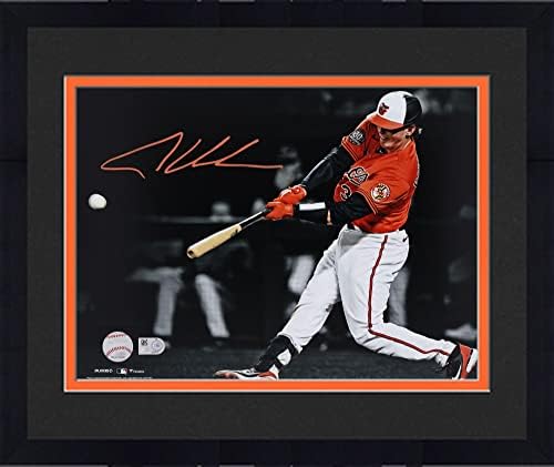 Снимка в рамка Adley Rutschman Baltimore Orioles с автограф 11 x 14 В светлината на прожекторите - Снимки на